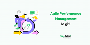 Performance Management Cycle - Quy trình Quản trị Hiệu suất