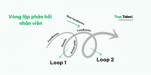 Performance Management Cycle - Quy trình Quản trị Hiệu suất